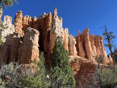 IMG_0752.HEIC