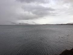 IMG_0469.JPG