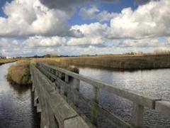IMG_2592.HEIC