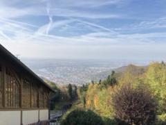 IMG_1865.HEIC