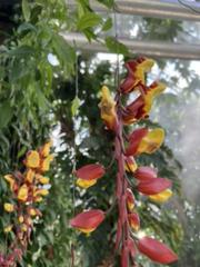 IMG_2971.HEIC