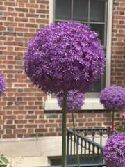 IMG_3131.HEIC