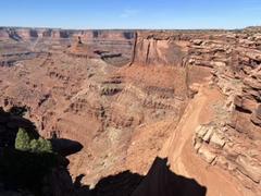 IMG_8989.HEIC