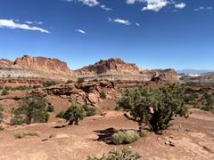 IMG_0680.HEIC