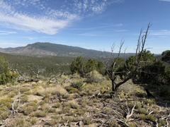 IMG_0862.HEIC