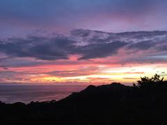 IMG_2451.JPG
