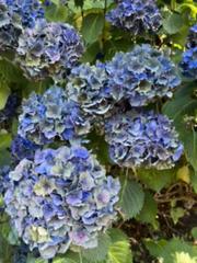 IMG_3673.HEIC