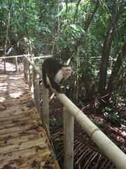 IMG_2296.JPG