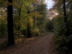 IMG_1927.HEIC