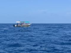 IMG_2539.HEIC
