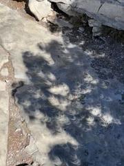 IMG_9499.HEIC