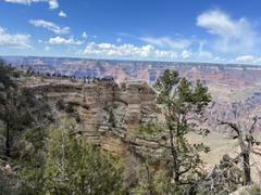 IMG_7050.HEIC