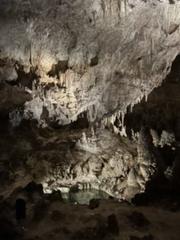 IMG_0939.HEIC