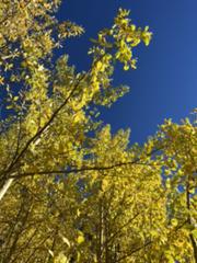 IMG_5620.HEIC