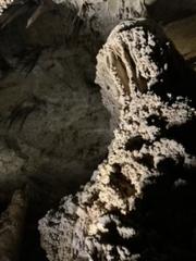 IMG_0887.HEIC