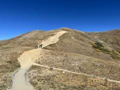 IMG_1725.HEIC