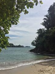 IMG_2349.JPG