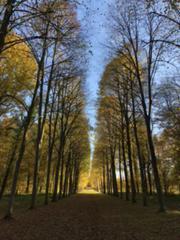 IMG_3868.HEIC