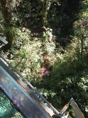 IMG_2119.JPG