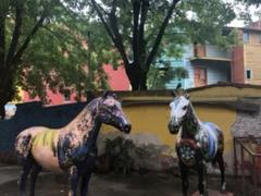 IMG_9738.HEIC