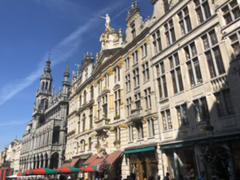 IMG_7971.HEIC