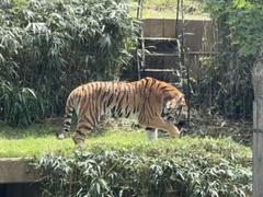 IMG_3118.HEIC