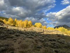 Fall Trip