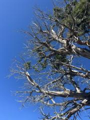 IMG_7699.HEIC