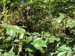 IMG_2067.JPG