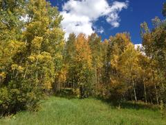 IMG_0993.JPG