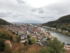 IMG_2184.HEIC