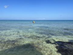 IMG_2570.HEIC
