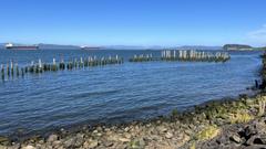 IMG_3821.HEIC