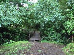 IMG_1857.JPG