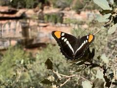 IMG_1287.HEIC