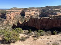 IMG_8433.HEIC