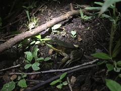 IMG_1934.JPG