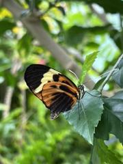 IMG_3833.HEIC