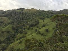 IMG_2222.JPG