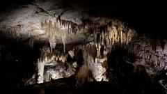 IMG_0873.HEIC