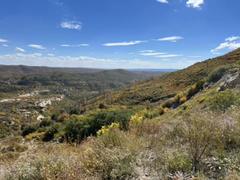 IMG_9183.HEIC