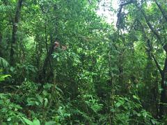 IMG_1891.JPG