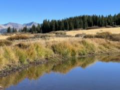 IMG_5464.HEIC