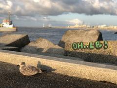 IMG_7471.HEIC