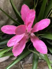IMG_3655.HEIC