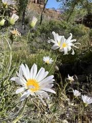 IMG_7423.HEIC
