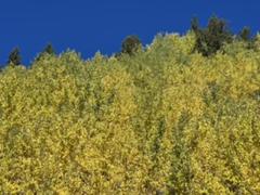 IMG_5690.HEIC