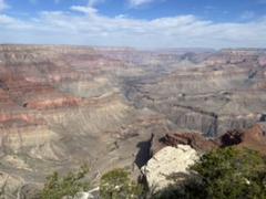 IMG_2039.HEIC