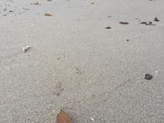 IMG_2254.JPG