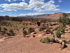 IMG_0682.HEIC